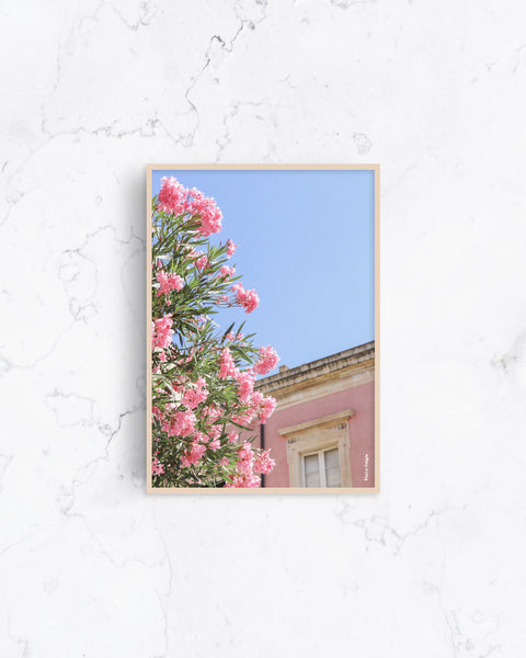 Fiori a Ortigia Print